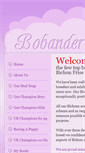 Mobile Screenshot of bobanderbichons.co.uk